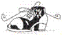 chaussure-n-g.jpg